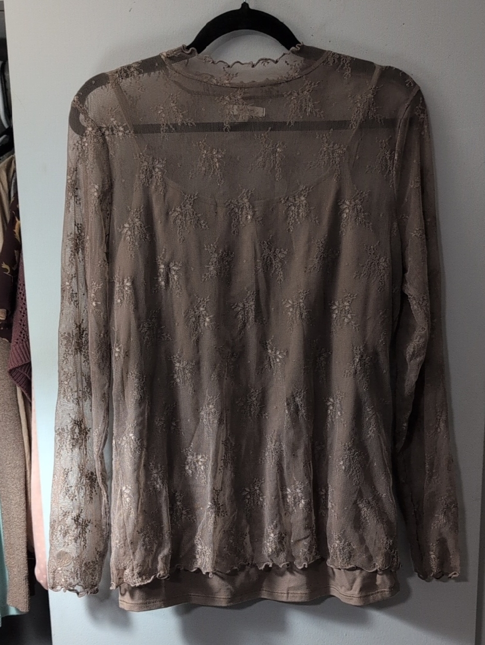 Maurices Sheer Lace Long Sleeve Top in Taupe